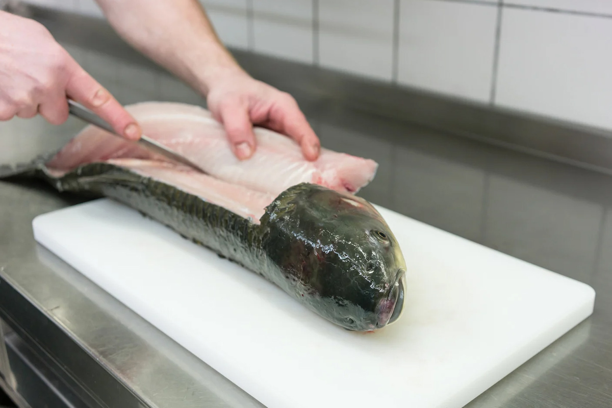 Chef dans la cuisine d'un restaurant Filet de Sole